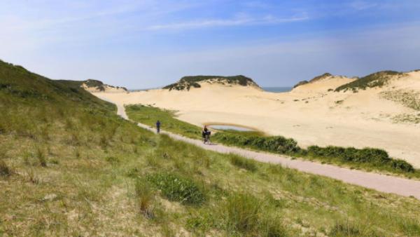 natuurkern bij excursie duinen