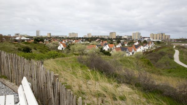 Duinen